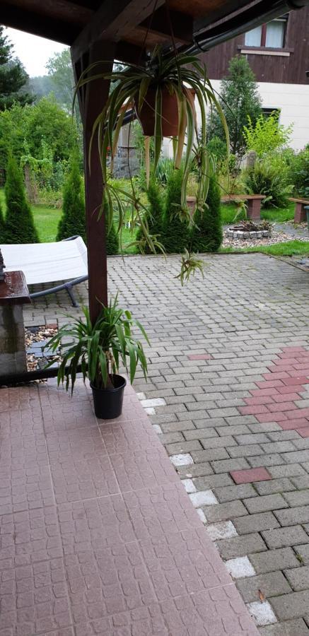 Bungalow Hugo Oppach Ngoại thất bức ảnh