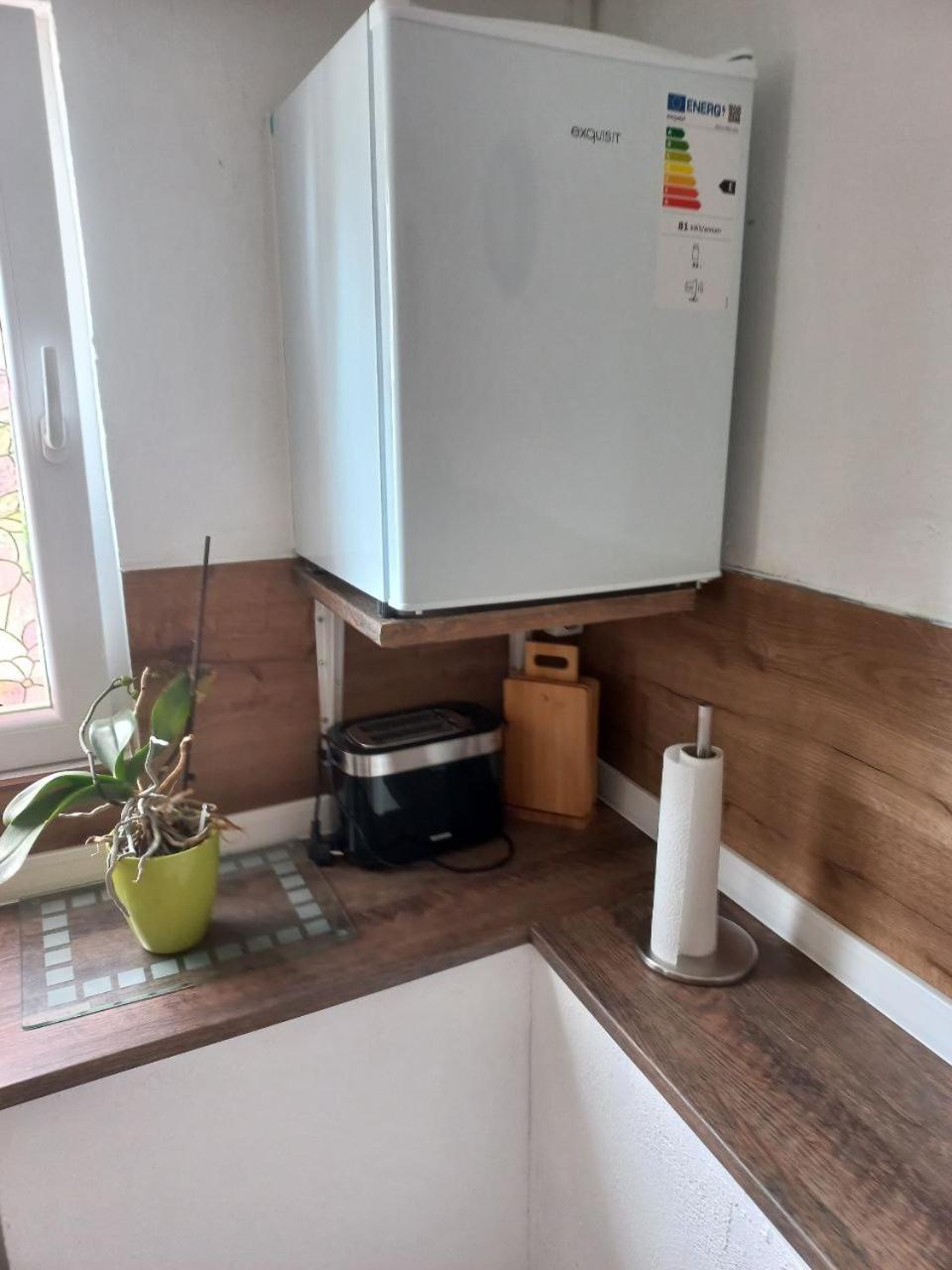 Bungalow Hugo Oppach Ngoại thất bức ảnh